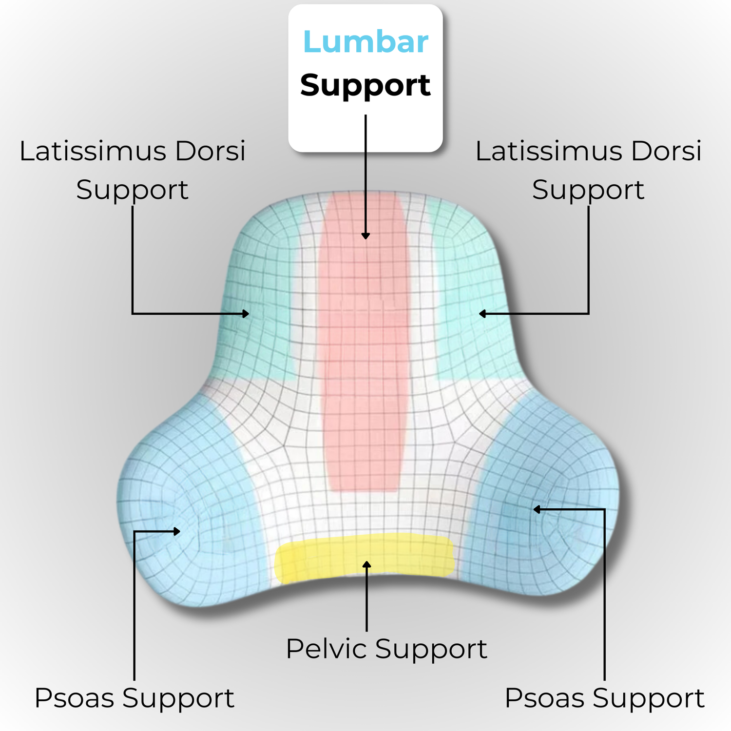 Anatomy diagram of the lumbar pillow showing internal layers and ergonomic design for optimal lower back support and comfort